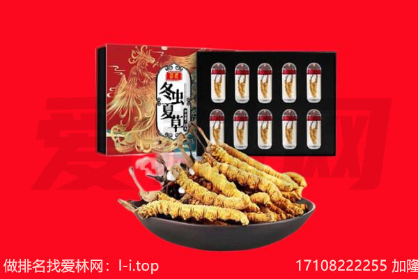 盐城市盐都回收虫草.jpg